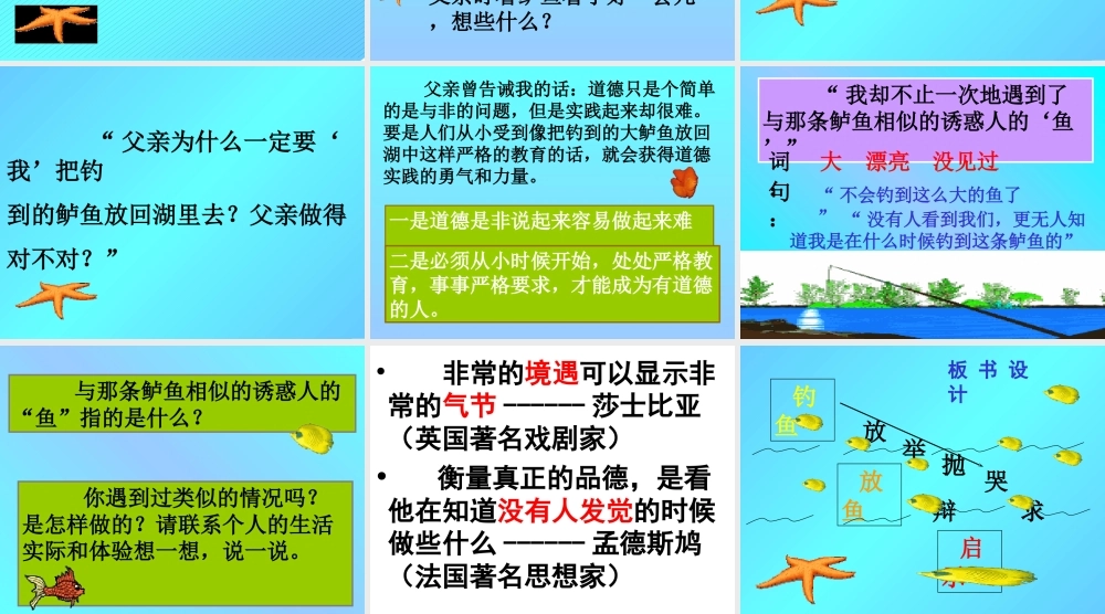 《钓鱼的启示》课件4 (2)