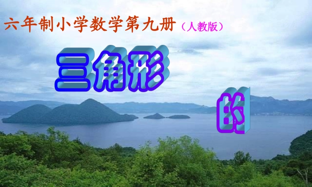 三角形面积的计算{标准}