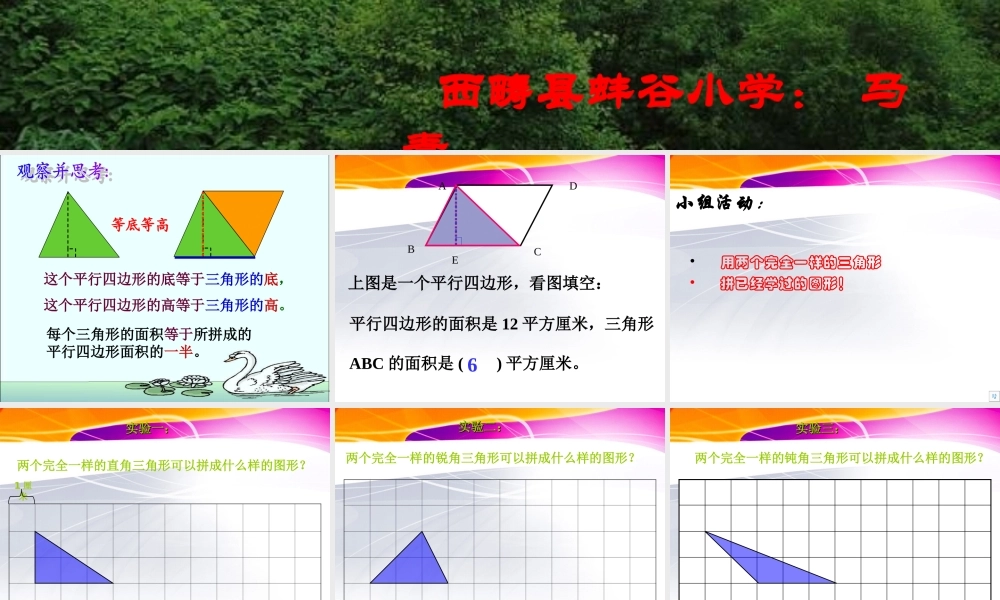 三角形面积的计算{标准}