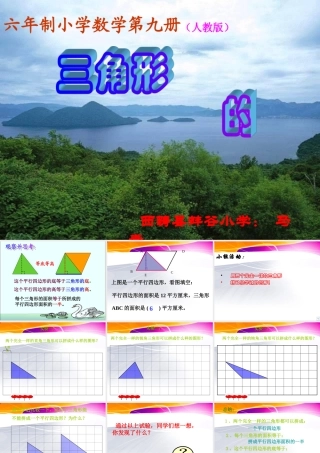 三角形面积的计算{标准}