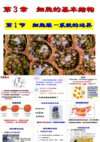 人教版必修1第3章第1节细胞膜—系统的边界（共14张PPT）