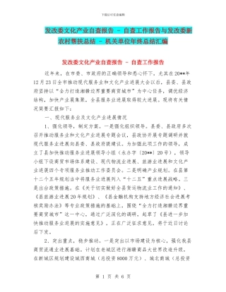 发改委文化产业自查报告