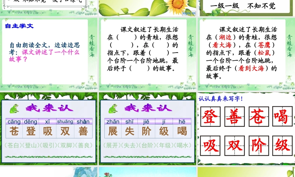 苏教版二年级语文《青蛙看海》