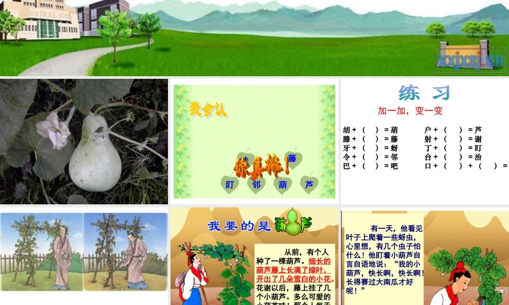 改我要的是葫芦课件