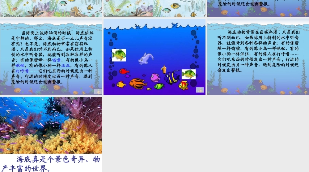 《海底世界》配套课件