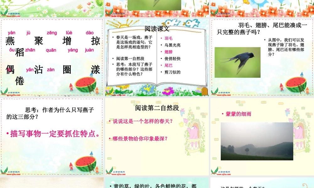 人教新课标三年级语文下册《燕子》PPT课件