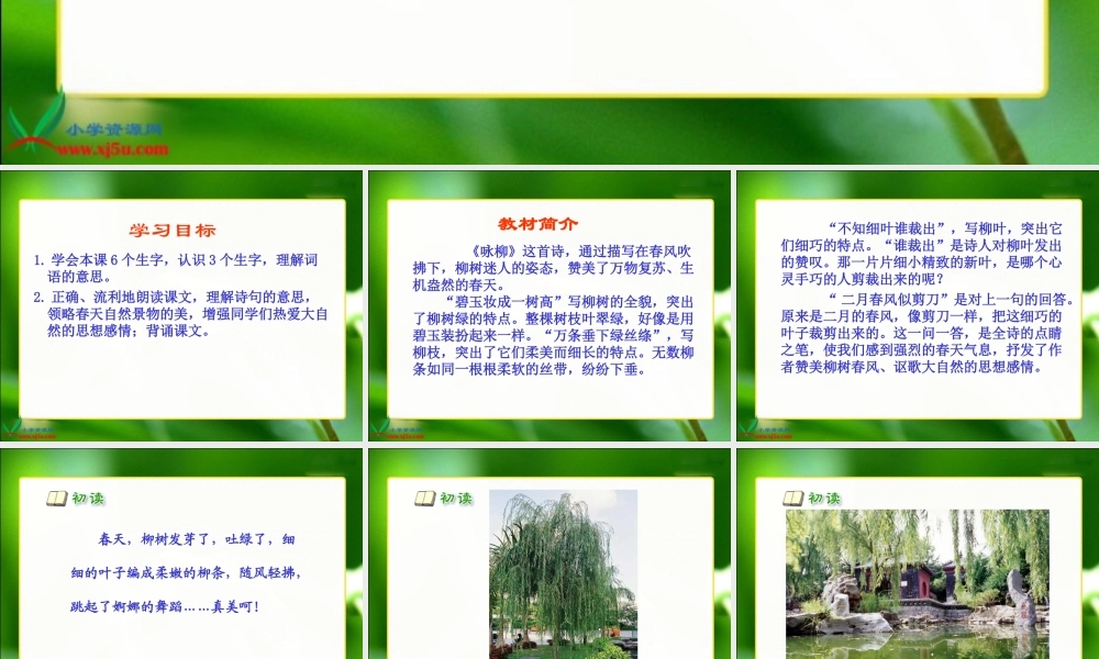 人教新课标三年级语文下册《２古诗两首—咏柳》PPT课件