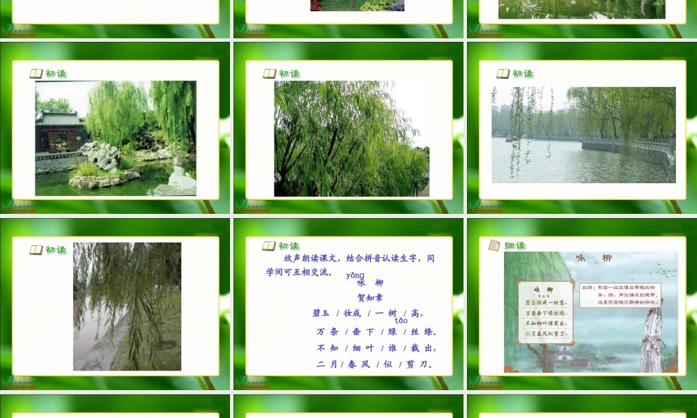人教新课标三年级语文下册《２古诗两首—咏柳》PPT课件