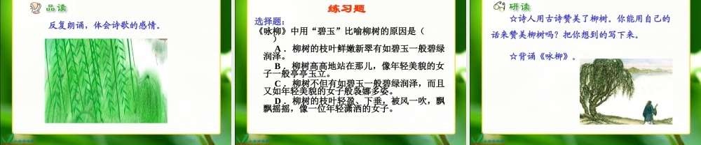 人教新课标三年级语文下册《２古诗两首—咏柳》PPT课件