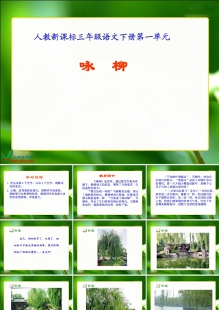 人教新课标三年级语文下册《２古诗两首—咏柳》PPT课件