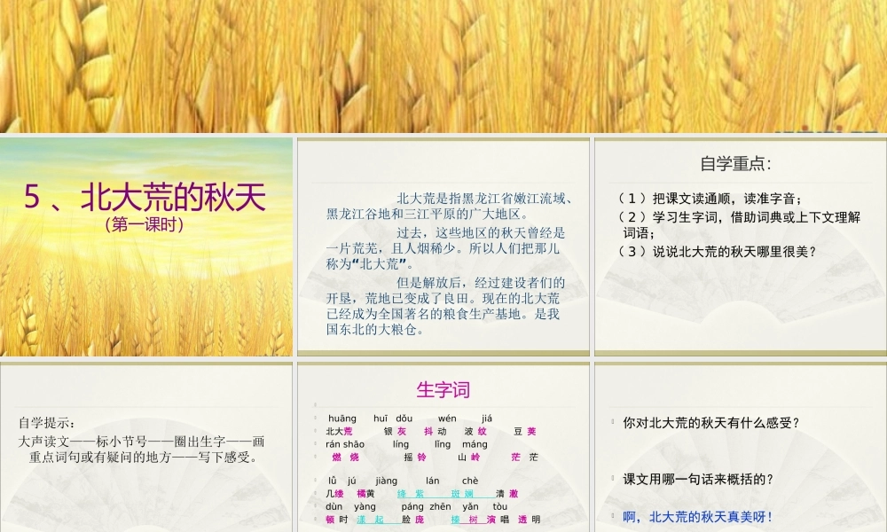 北大荒的秋天李叶丽