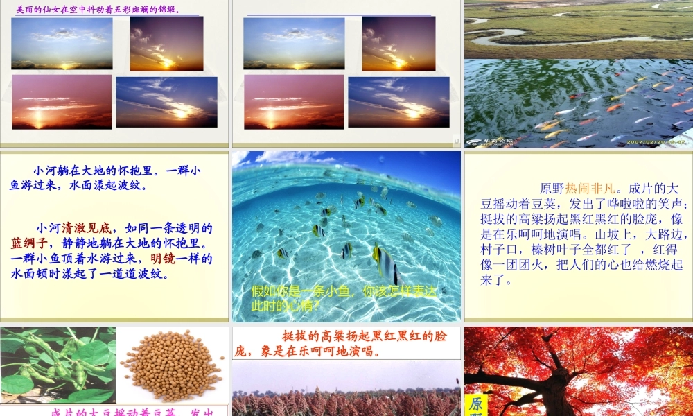 北大荒的秋天李叶丽