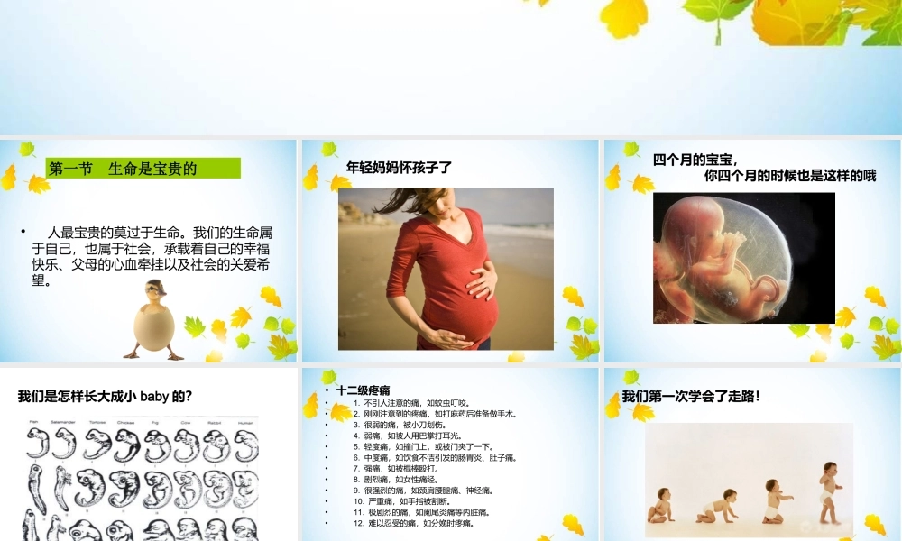 第一单元珍爱宝贵的生命