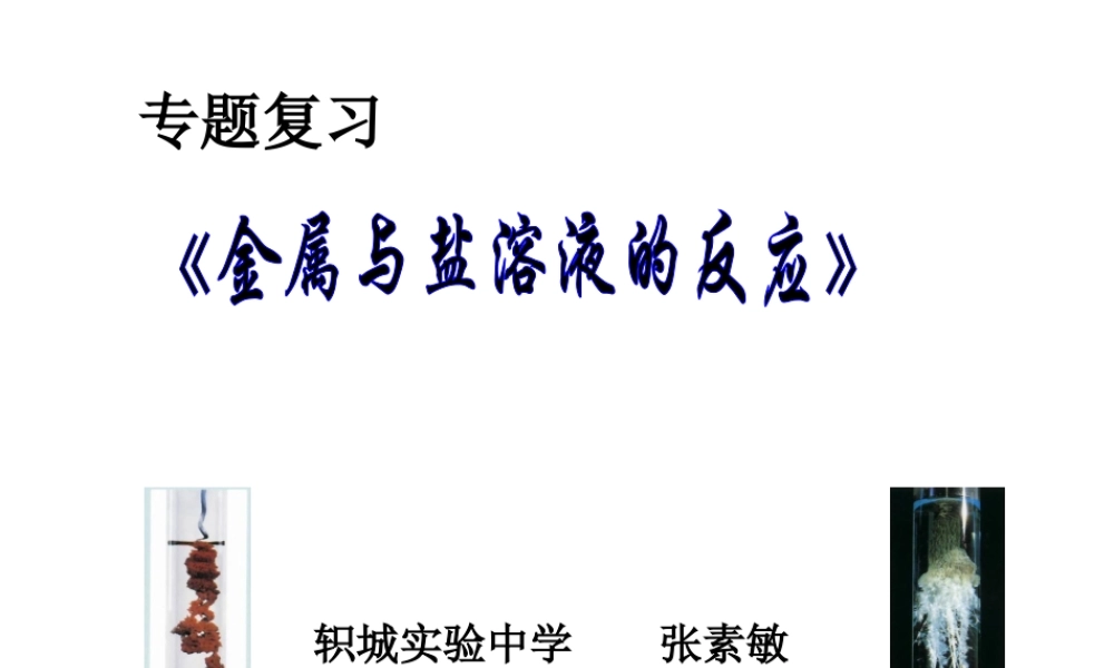 金属与盐溶液的反应