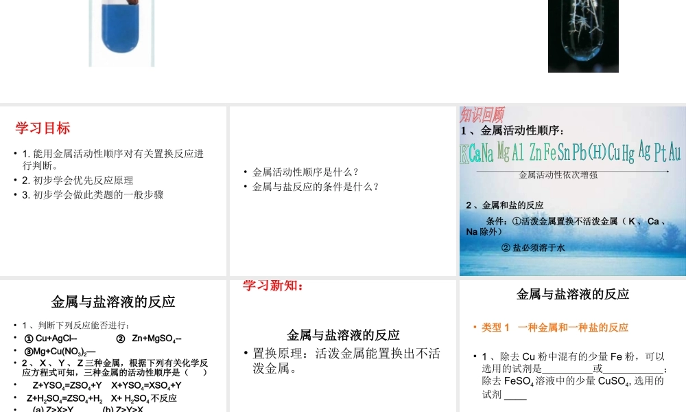 金属与盐溶液的反应