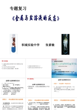 金属与盐溶液的反应