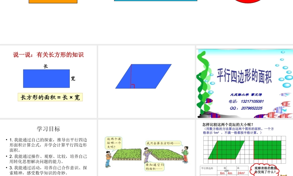 平行四边形面积 (5)