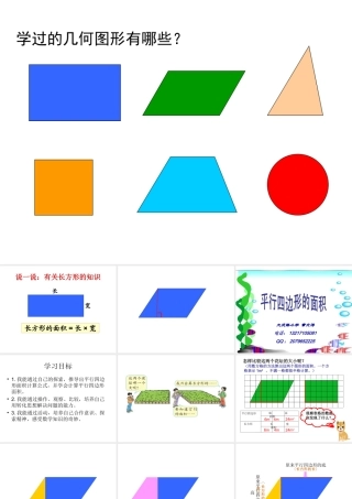 平行四边形面积 (5)