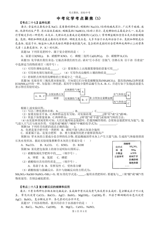中考化学考点聚焦5