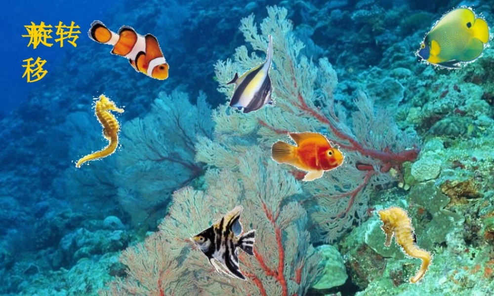 《平移和旋转》课件