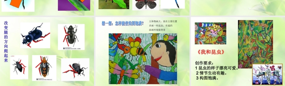 第二册10课我和昆虫