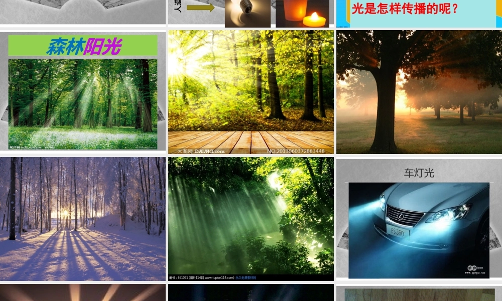 探寻光的路线（推荐）