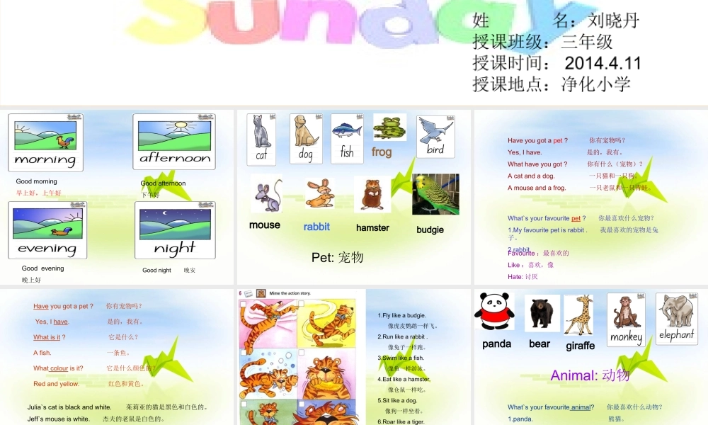 三年级下册英语join_in__1~3单元内容复习资料