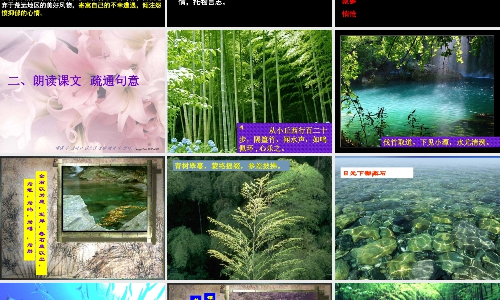 《小石潭记》课件