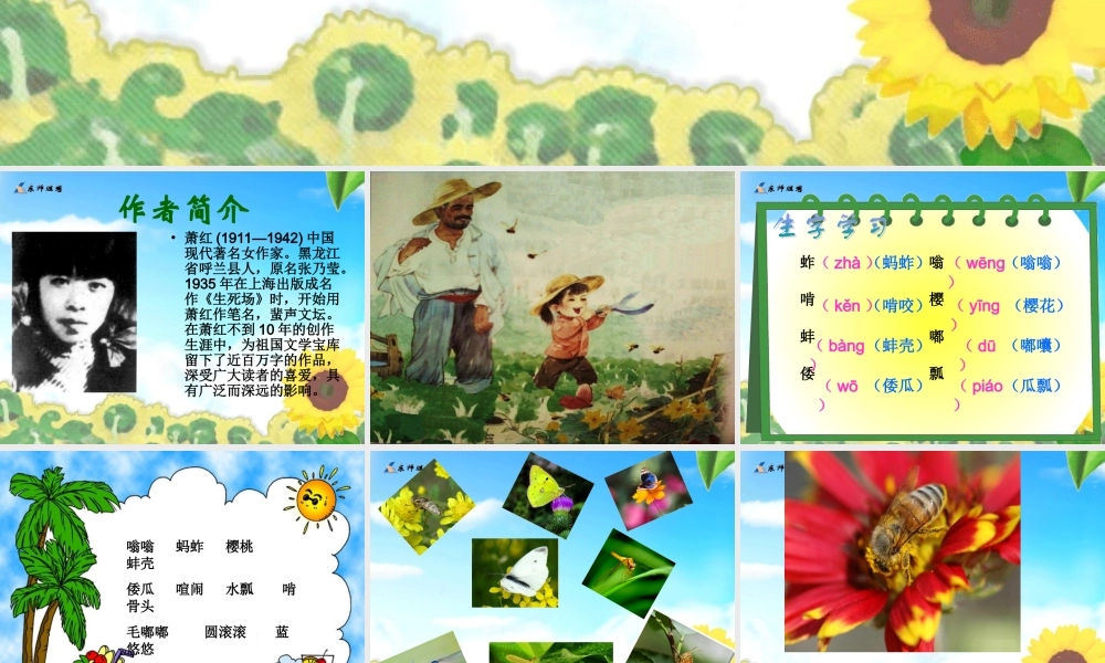 祖父的园子课件(整理)