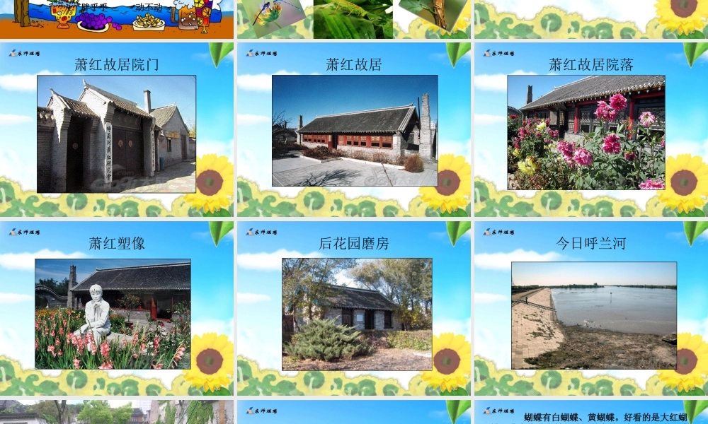 祖父的园子课件(整理)