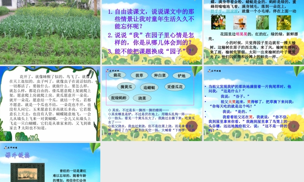 祖父的园子课件(整理)