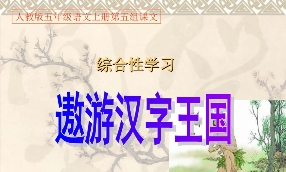 五年级第五组《遨游汉字王国》PPT课件