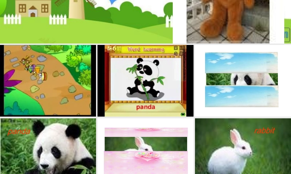 片示范课Weloveanimals