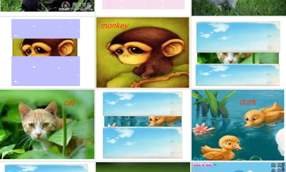 片示范课Weloveanimals