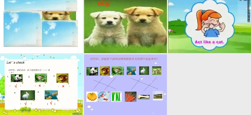 片示范课Weloveanimals