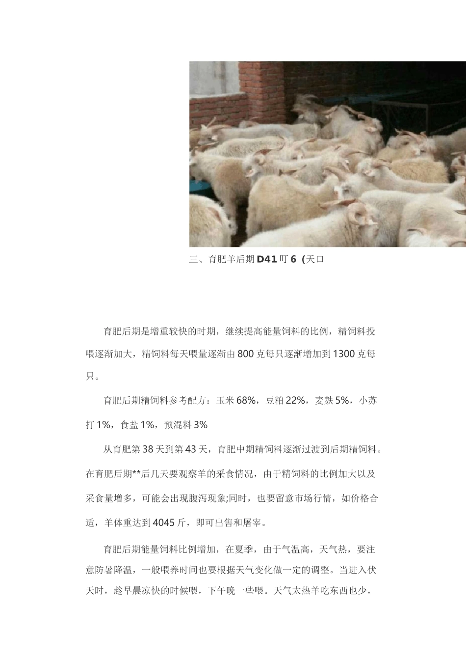 育肥羊60天出栏技术_第3页