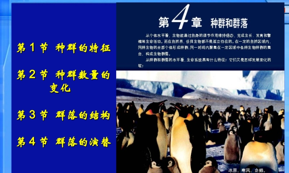 种群特征课件