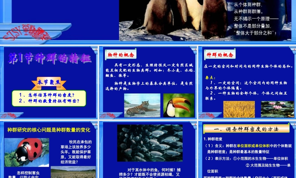 种群特征课件