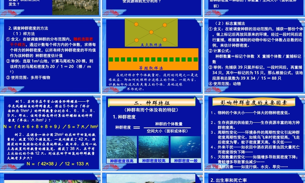 种群特征课件