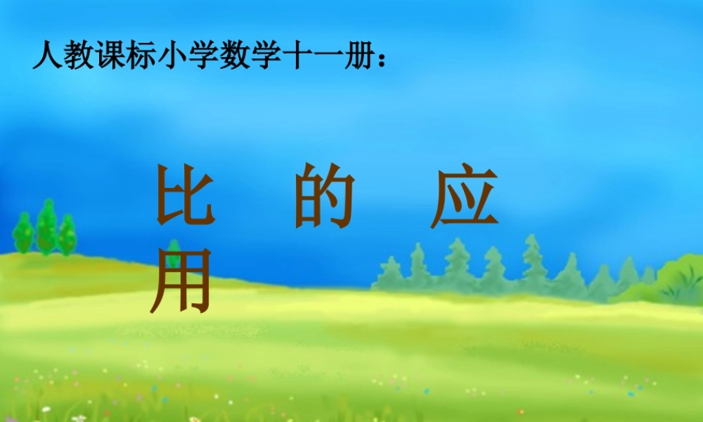 比的应用课件