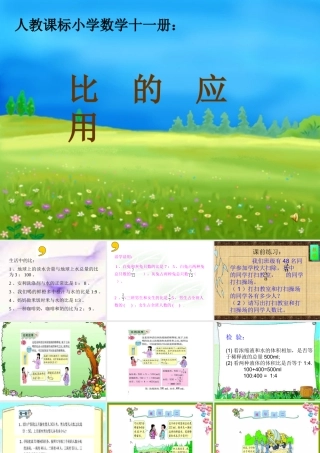 比的应用课件