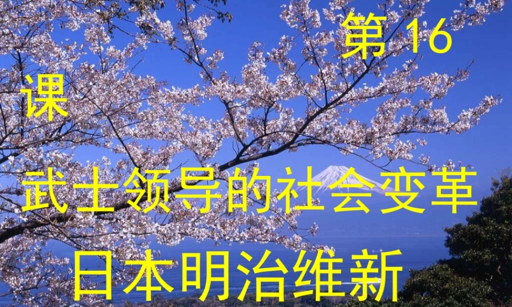 讲课武士领导的社会变革课件