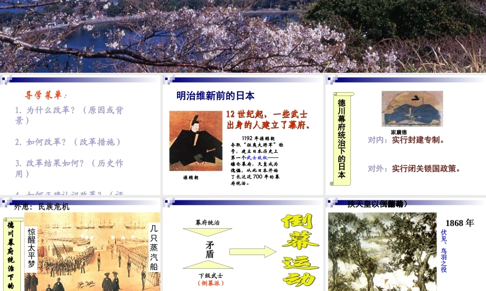 讲课武士领导的社会变革课件