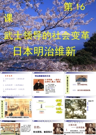 讲课武士领导的社会变革课件
