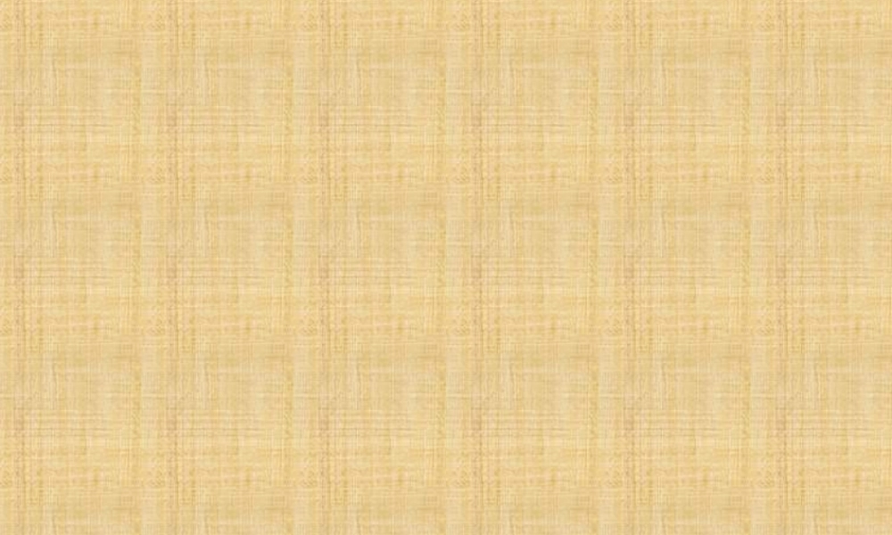 兰兰过桥演示文稿