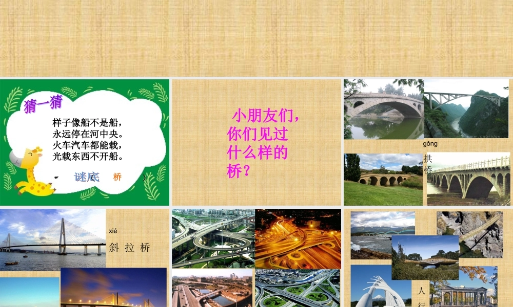 兰兰过桥演示文稿