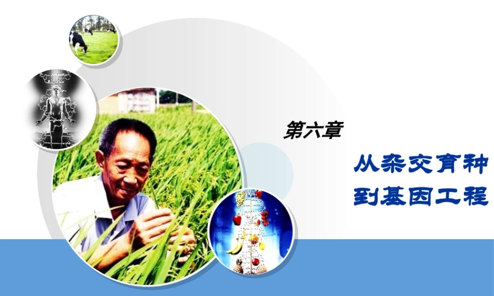 第六章_基因工程及其应用