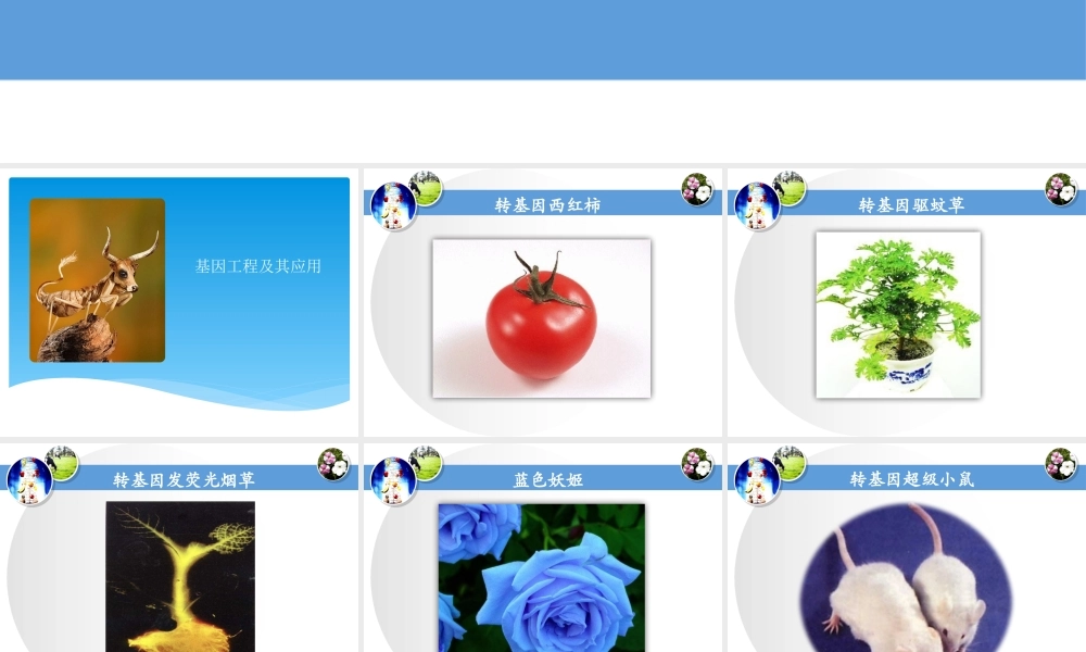 第六章_基因工程及其应用