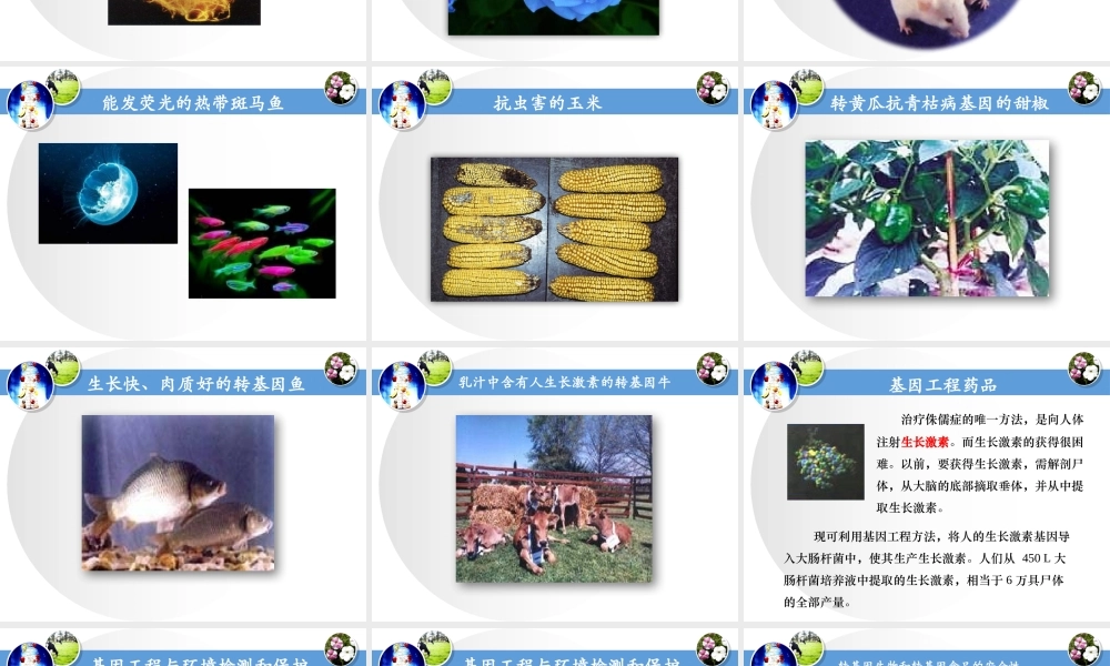 第六章_基因工程及其应用