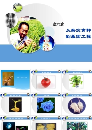 第六章_基因工程及其应用